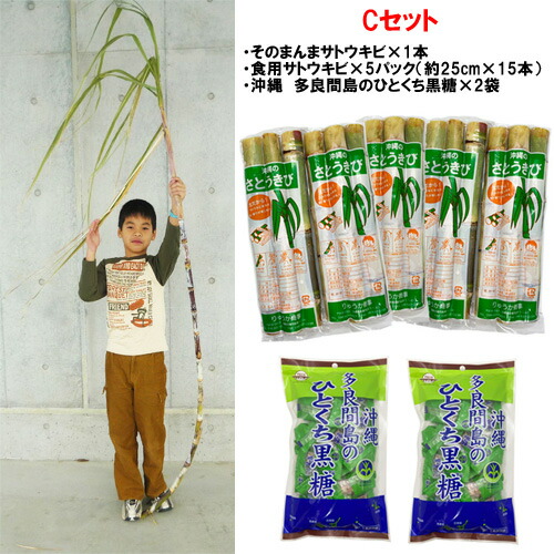 沖縄県産無農薬栽培 サトウキビ 約6kg Amazon.co.jp: 沖縄産 さとうきび 食用 2本×5袋【レトルト殺菌済