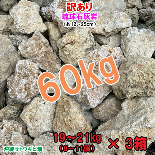 【送料無料】訳あり　琉球石灰岩　60kg　　　　　|沖縄 DIY ガーデニング 庭石 アプローチ リゾート ロックガーデン ドライガーデン 造園 庭造り 園路 撮影 リノベーション 新築