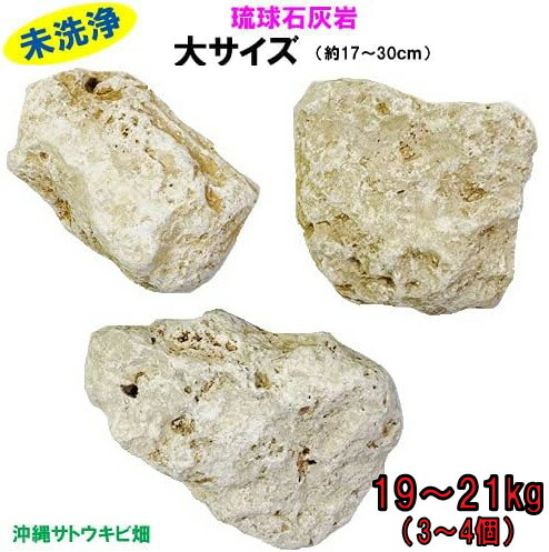 楽天市場】コーラル ガーデンストーン（琉球石灰岩）20kg 100