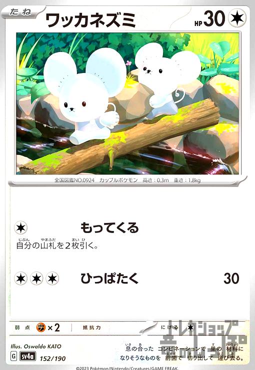 楽天市場】ニードルワーム 【1st】【英】【LCYW-EN244】【UR】_[中古