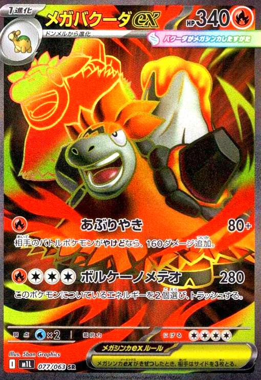 虎*様 ポケモンカード ex メガ break V sr タッグチーム含む100 虎*様 ポケモンカード ex メガ break V sr タッグチーム含む100