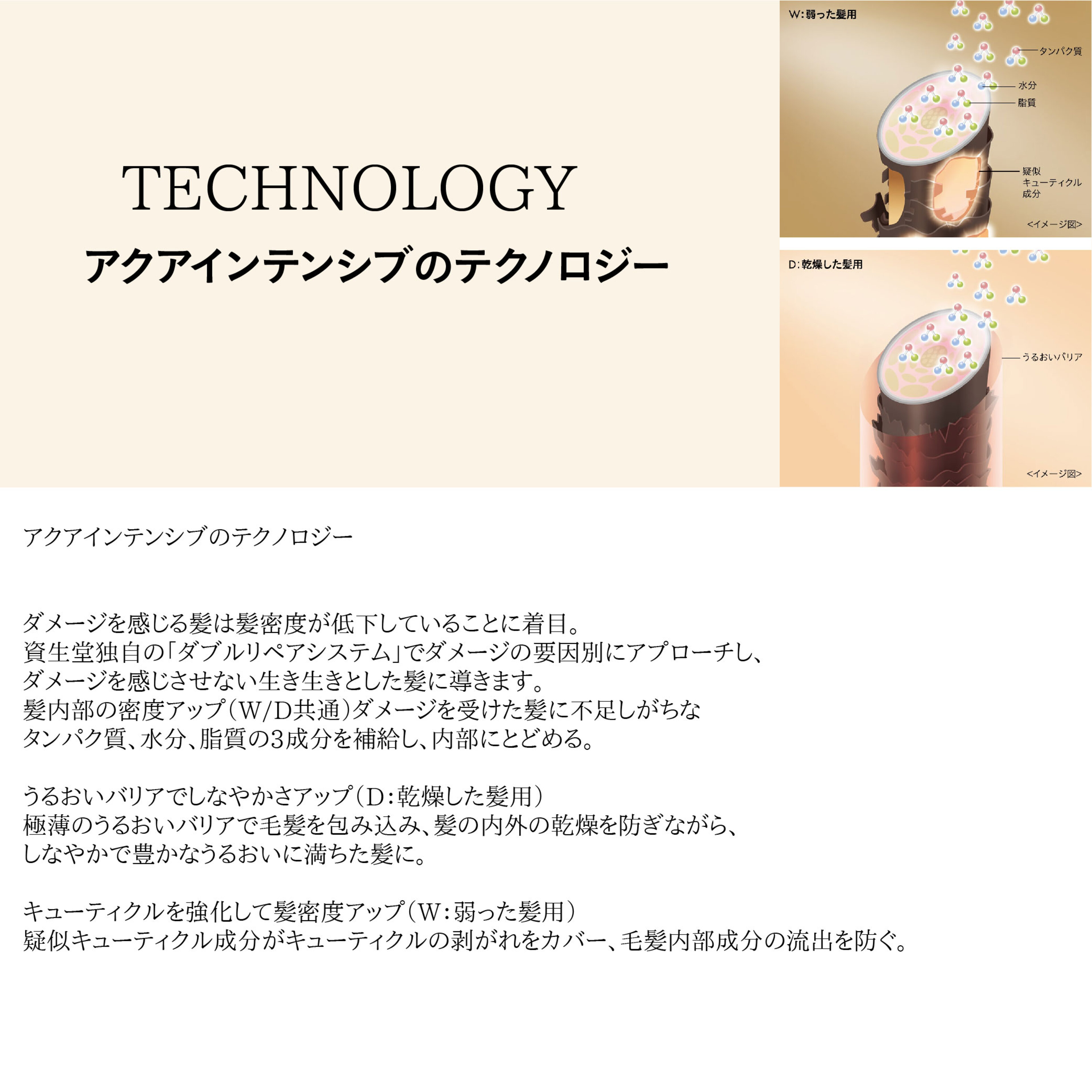 人気の製品 資生堂 サブリミック アクアインテンシブ シャンプー 1800mL 詰替 SHISEIDO SUBLIMIC AQUA INTENSIVE  SHAMPOO amazingimoveis.com.br