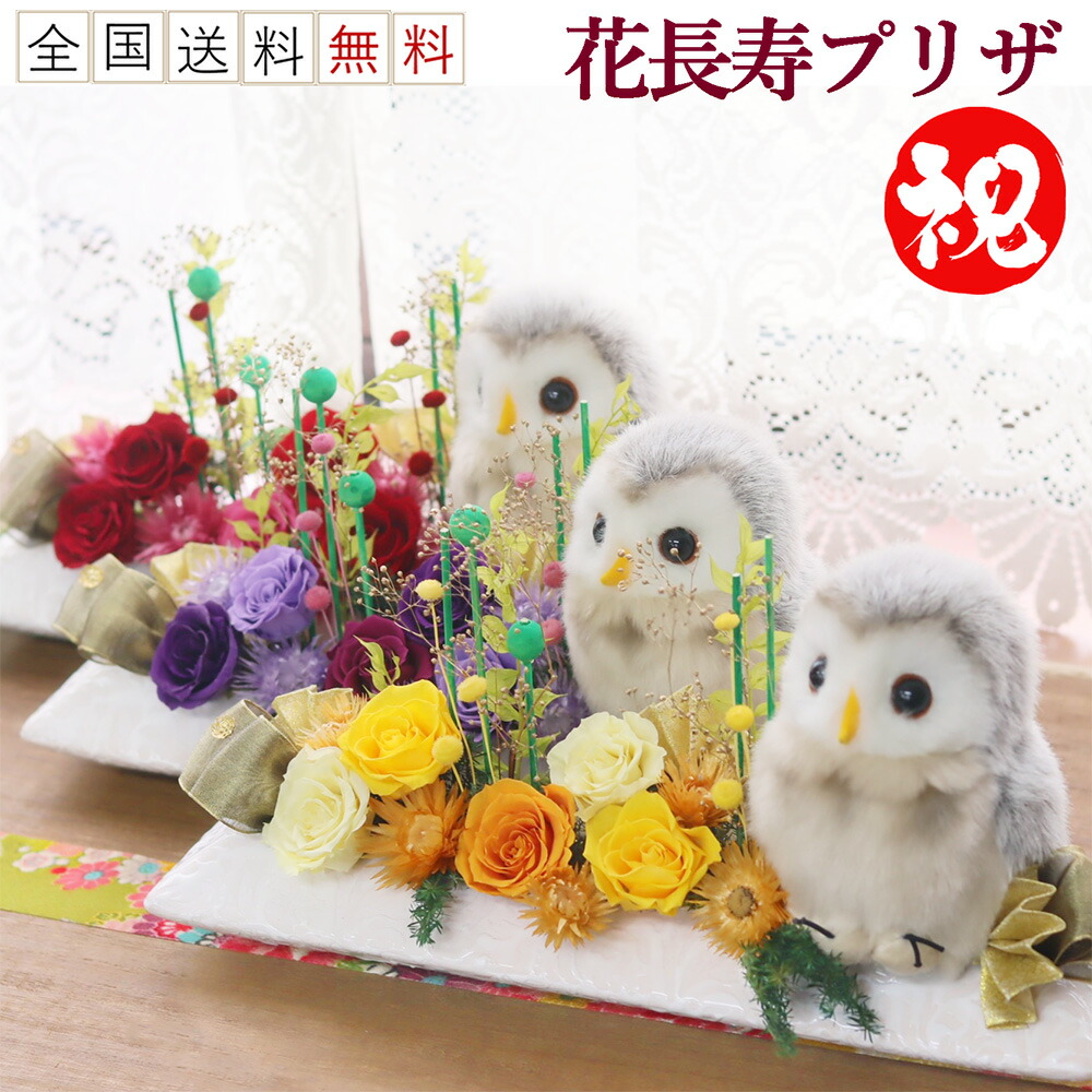 【ポイント3倍】 ふくろう 豪華 プリザーブドフラワー 母の日 長持ち 花 プレゼント 誕生日 ギフト ブリザードフラワ- かわいい お祝い 古希祝い 喜寿祝い 米寿祝い 長寿のお祝い 退職祝い 送別　定年 退職 送別会 米寿 古希 紫 喜寿 傘寿 白寿 百寿 祖父 祖母 花長寿