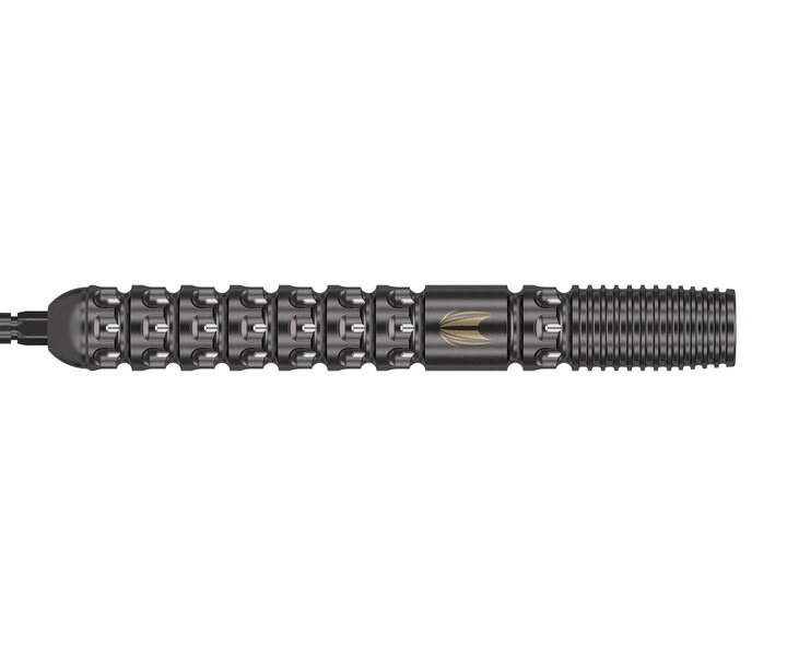 【メール便OK】【送料無料】ダーツ バレル【ターゲット】ルーク・リトラーモデル スイスポイント 24g 190324
