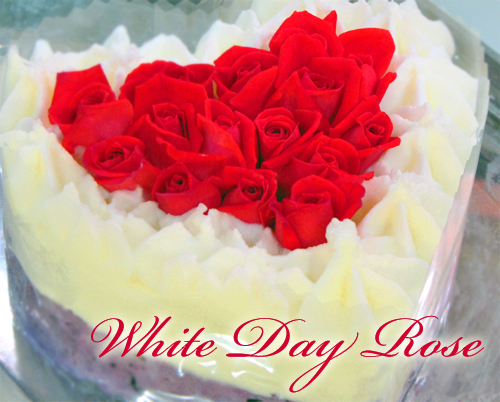 楽天市場 アイスケーキ ホワイトデーローズ エディブルフラワー 食用花 バラ で豪華なアイスケーキ作りました ノ スペールフルッタ