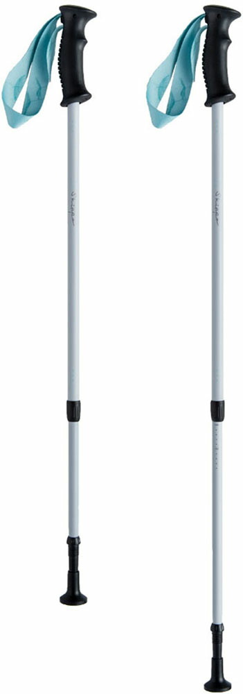 楽天市場】【公式】 HATACHI ノルディックウォーキング ポール DFP