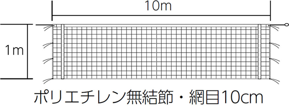 【10日までポイントアップ】 トーエイライト TOEI LIGHT バレーボール 9人制 女子 バレーボールネット 上部のみ白帯付 レディース ウィメンズ 学校 体育 授業 器具 施設 体育館 コート ネット型 部活動 クラブ サークル B2846