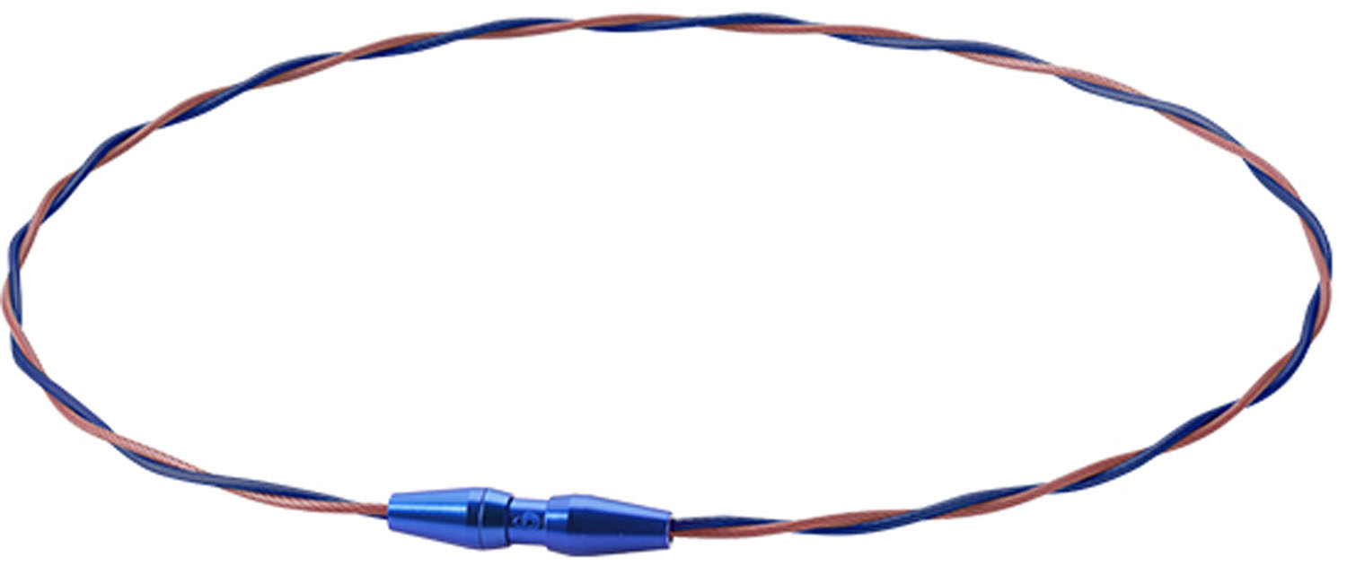 JBA使用許可どんぶり鉢 EVOLUTION