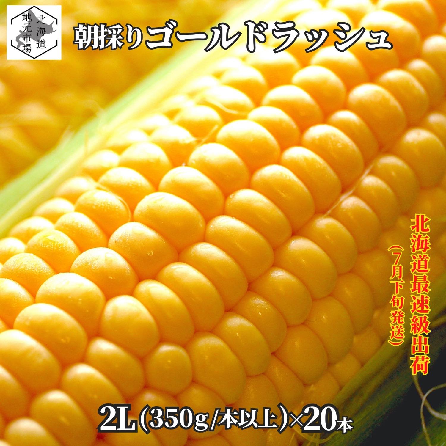 お買い物マラソン期間ポイント+4倍 早割 【2025予約開始】7月下旬より発送 とうもろこし 北海道 ゴールドラッシュ 2Lサイズ × 20本 (350g/本以上) 朝採り 産地直送 スイートコーン とうきび ギフト 岡田農園 生で食べられる トウモロコシ【北海道最速 7月15日以降順次発送】