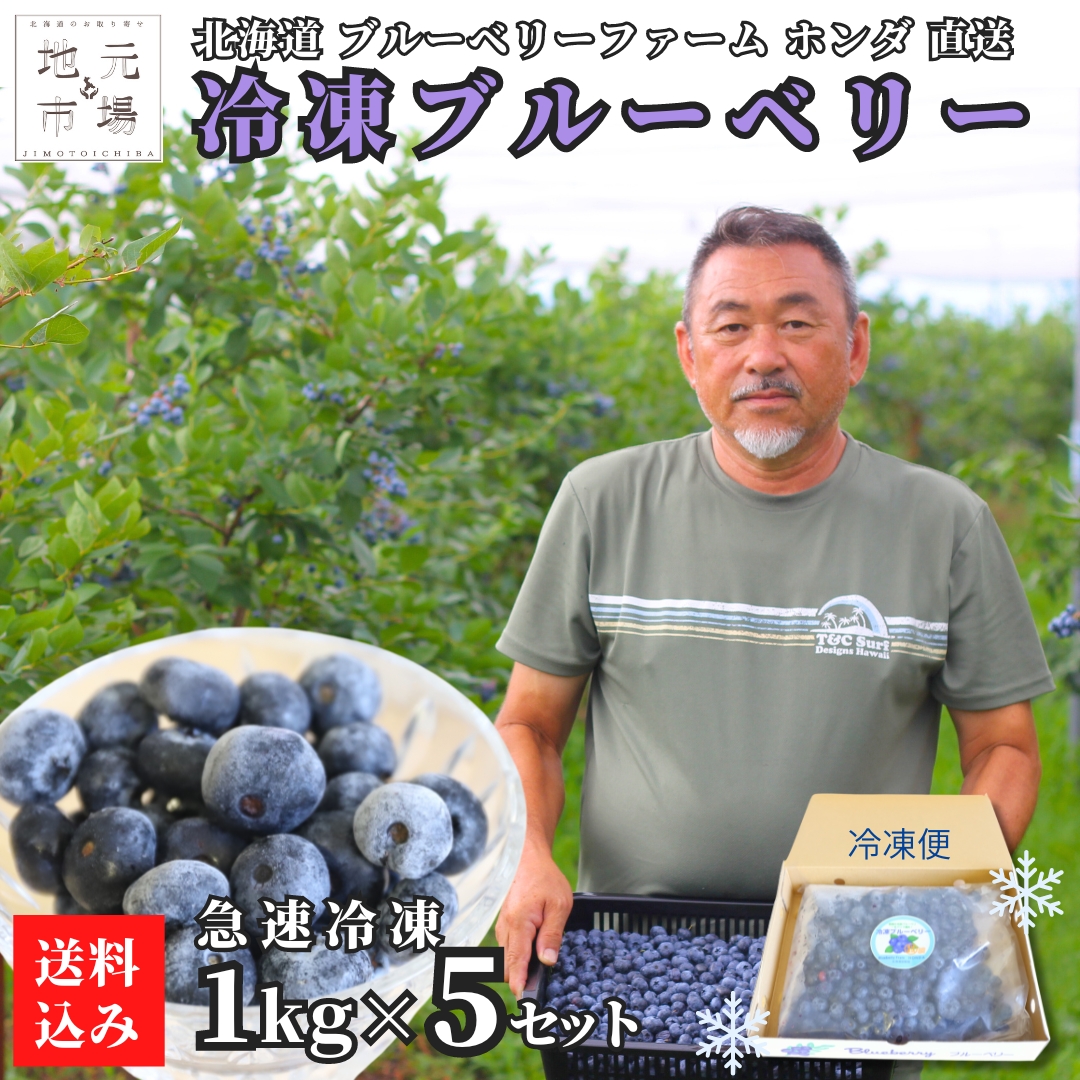 超歓迎人気しほまる様専用秋田県産　冷凍ブルーベリー ５キロ 果物