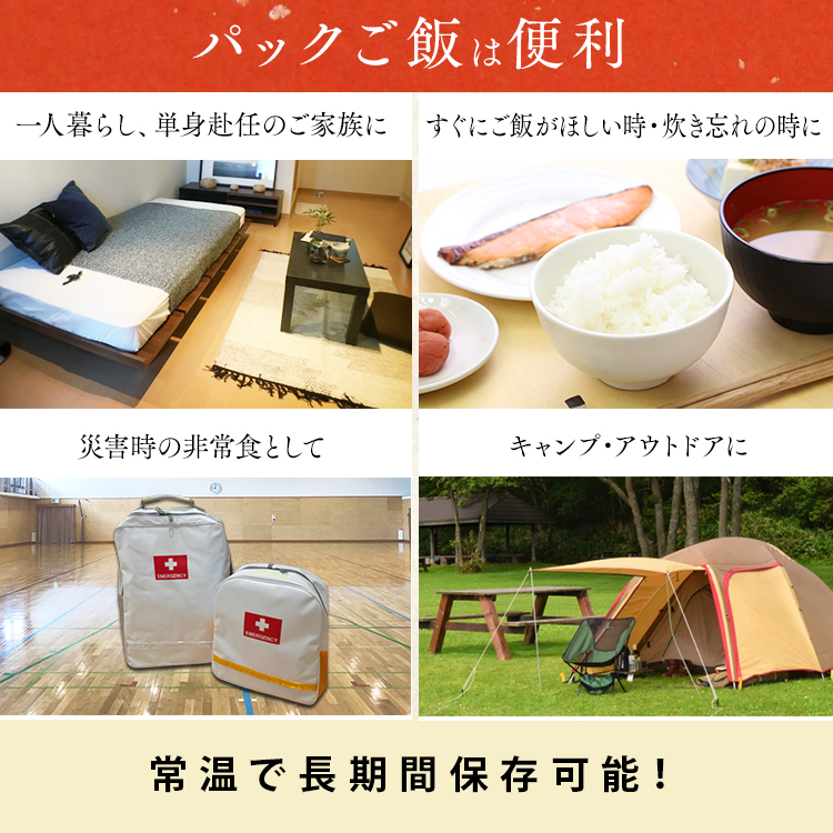 市場 15％オフクーポン配布中 送料無料 低温製法米のおいしいごはん 24食 180g×24パック パックご飯 アイリスオーヤマ パックごはん