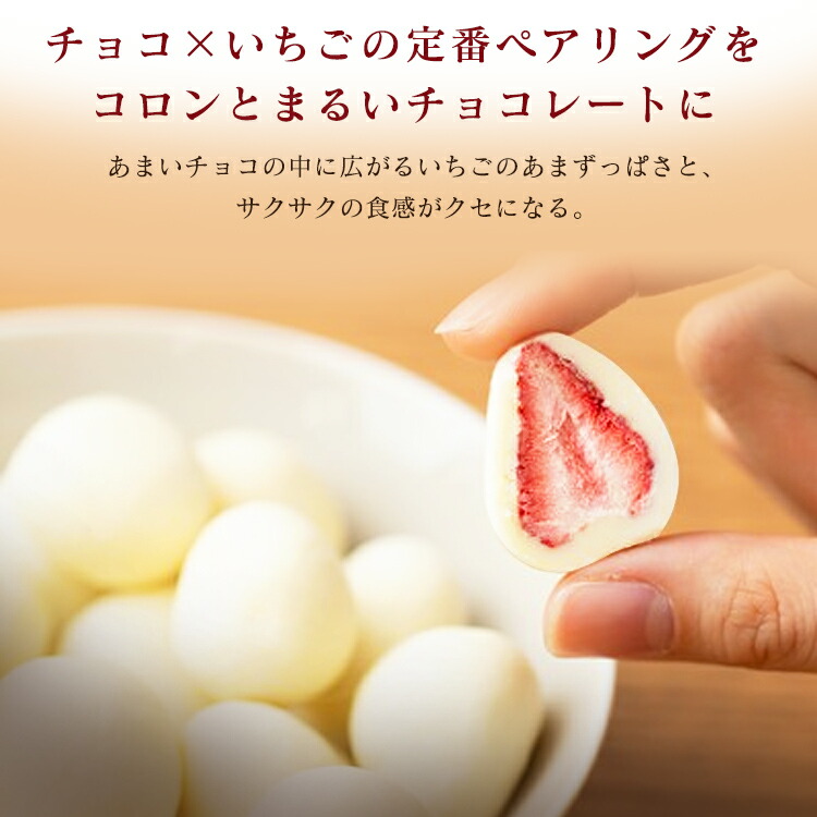 いちごチョコ チョコレート いちご スイーツ 個包装 洋菓子 送料無料 