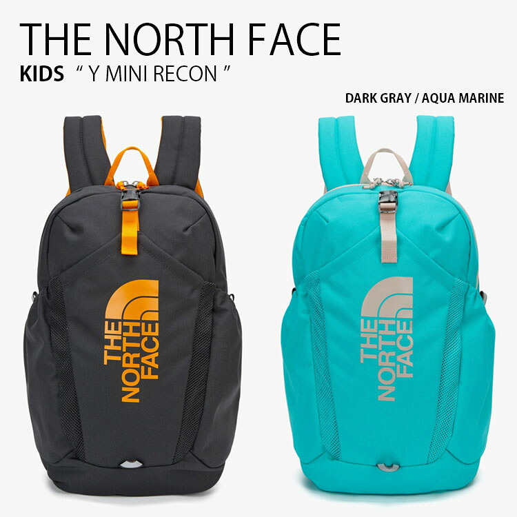 THE NORTH FACE ノースフェイス キッズ リュック Y MINI RECON ヤング ミニ リコン リュックサック デイパック バックパック バッグ かばん A4収納 ロゴ カジュアル 新学期 通学 ピクニック グレー ブルー 水色 男の子 女の子 子供用 NM2SQ20R/S