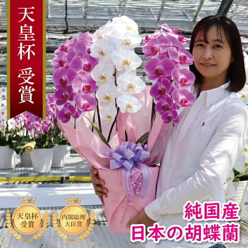 本日発送 MRYMB947TP3 型番:MRYMB947TP3