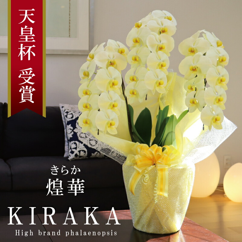 おるがん社　にしおゆき作　立ち人形　「花をおくる」　赤い花 造花 仏花 紅花とオダマキの花束一対 CT触媒 シルクフラワー お