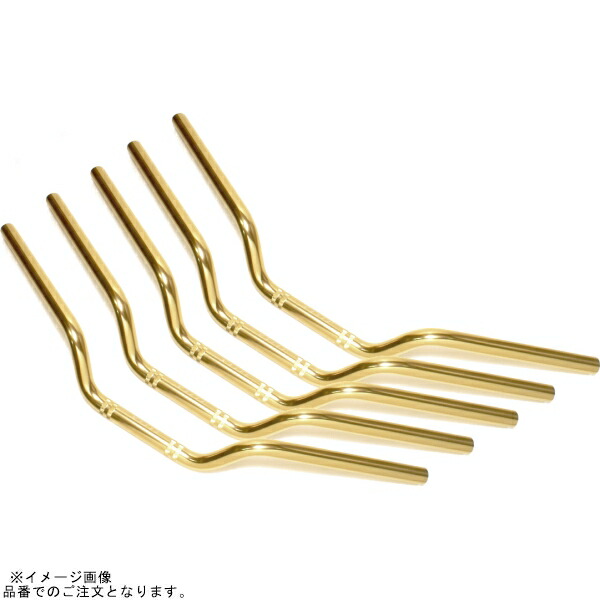 EFFEX EBF095G-5SET イージーフィットバー シャンパンゴールド CB1300SF (5本セット品)