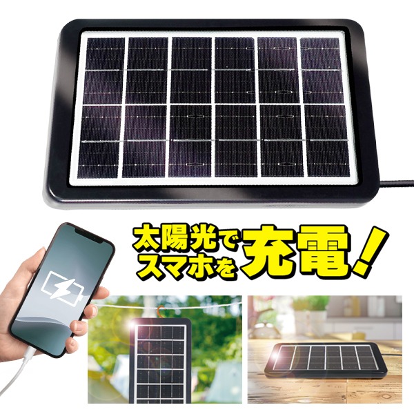 楽天市場】【楽天カードP4倍+2点で10％OFF】送料無料 !(メール便