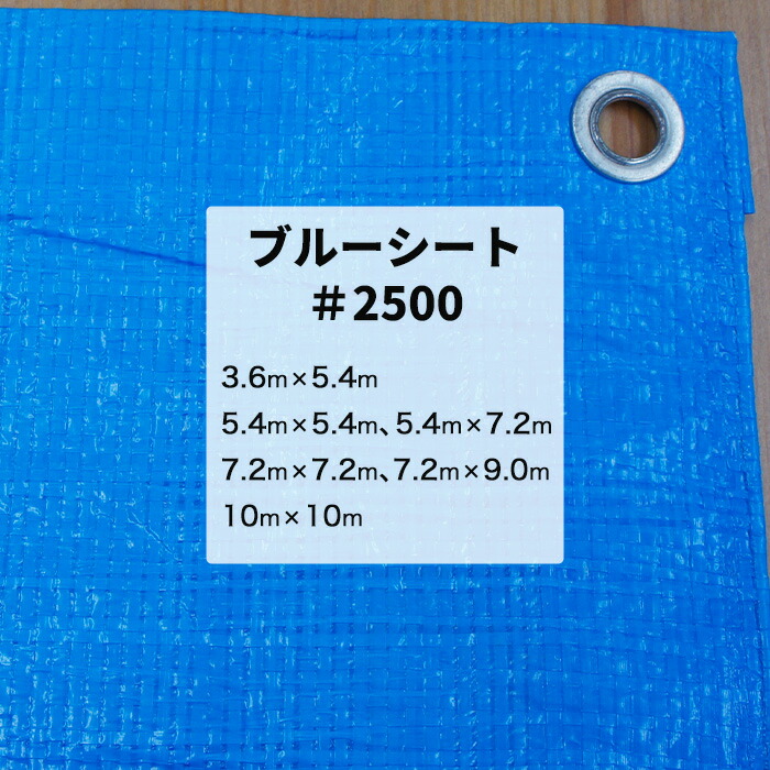 百貨店大売り出し会場