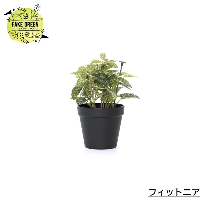 楽天市場】[最大10％OFFクーポンあり] フェイクグリーン 卓上 ミニ