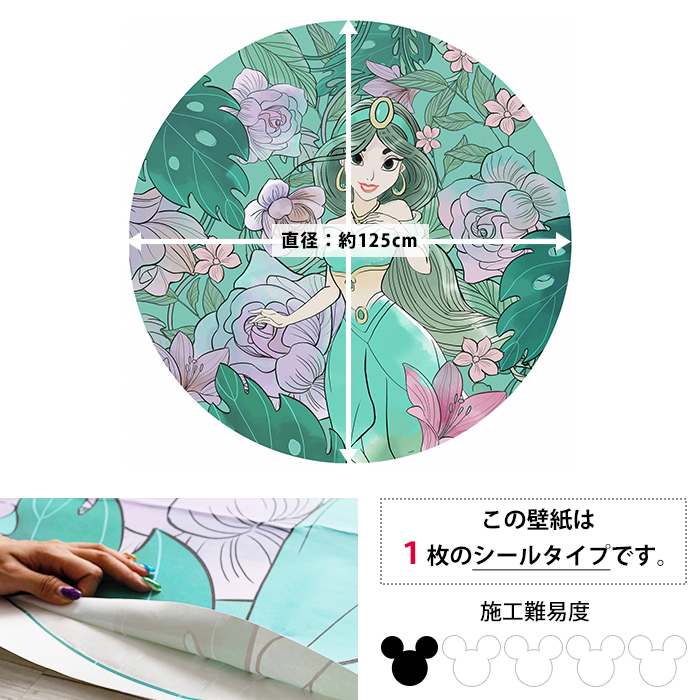 壁紙 シールタイプ 貼ってはがせる ディズニー アラジン ジャスミン プリンセル イラスト ドイツ製 Dd1 004 Jasmin Elegant Mint ジャスミンエレガントミント Csz Kuechen Ly