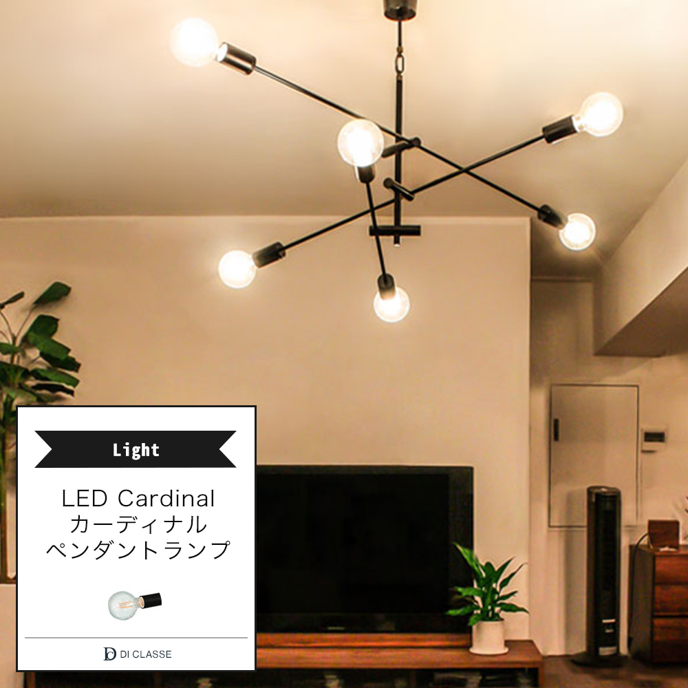 日本産】 【照明】Cardinal pendant lamp 値下げ 天井照明 - education