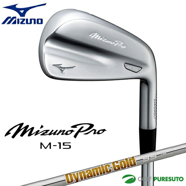 ミズノ Mizuno Pro M-15 アイアン 6本セット No.5～9、PW Dynamic Gold 95 スチールシャフト 2025年モデル ミズノ プロ エム アイアンセット ゴルフクラブ メンズ 右利き