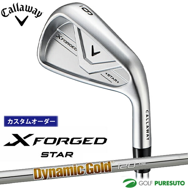 カスタム購入注文 キャロウェイ X FORGED STAR アイアン 単品 2026年真似形 Dynamic Gold 120 スチール写真立て坑 Callaway 日本操作手順 日本定まり品 エックス フォージド はやりっ子 ゴルフ野球クラブ  メンズ【■CCO■】