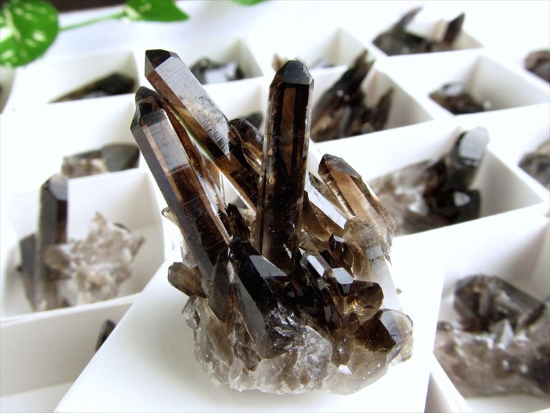 ☆セリコ隕石　スライス標本☆(最終お値下げ) 楽天市場】【10日23:59までポイント2倍】○1点限定入荷【セリコ