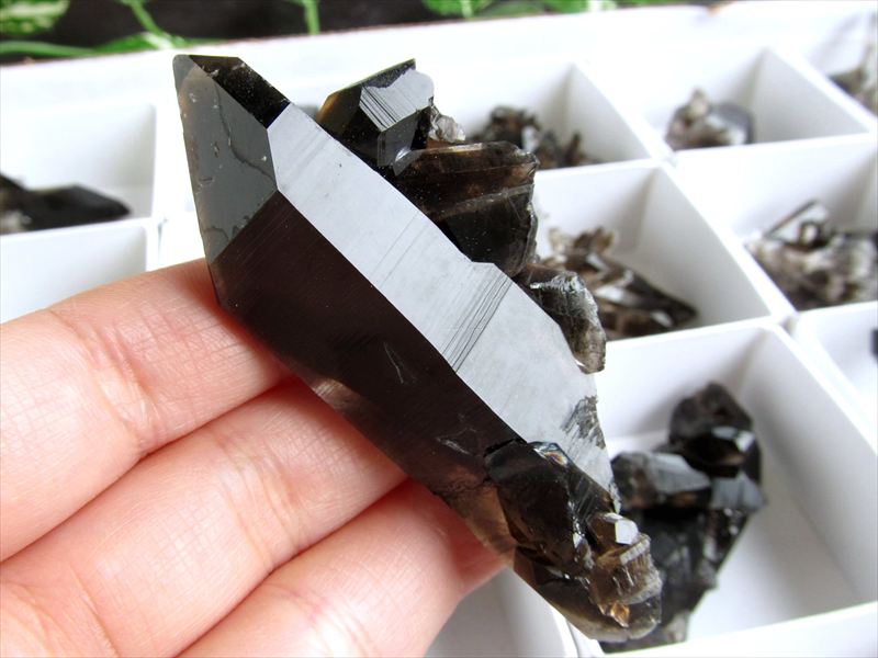 ★特選オンリー１♦★純天然黒水晶モリオン&【浄化用クリスタルチューナーセット】1 魔除けの音色 モリオン 黒水晶結晶 ポイント付 クリスタル