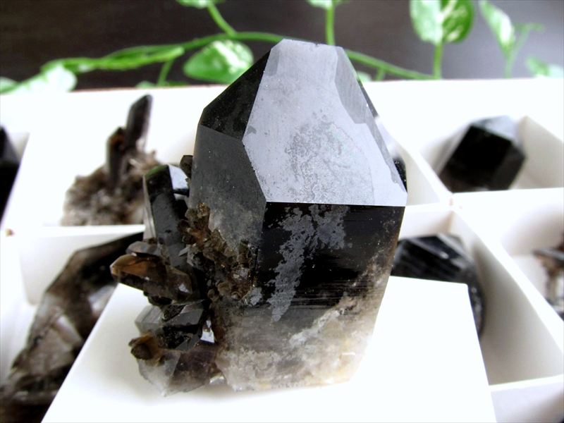 楽天市場】○圧倒的支持!【天然 黒水晶 (モリオン) クラスター原石】重