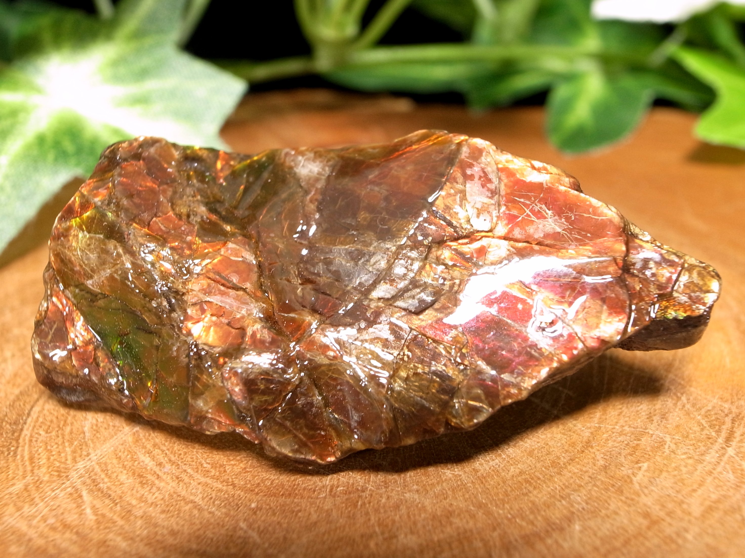 究極品質　秘蔵放出　時空を超えし奇跡の宝石　幻のドラゴンスキンアンモライトPT 000000000075_CiS6zzn.jpg