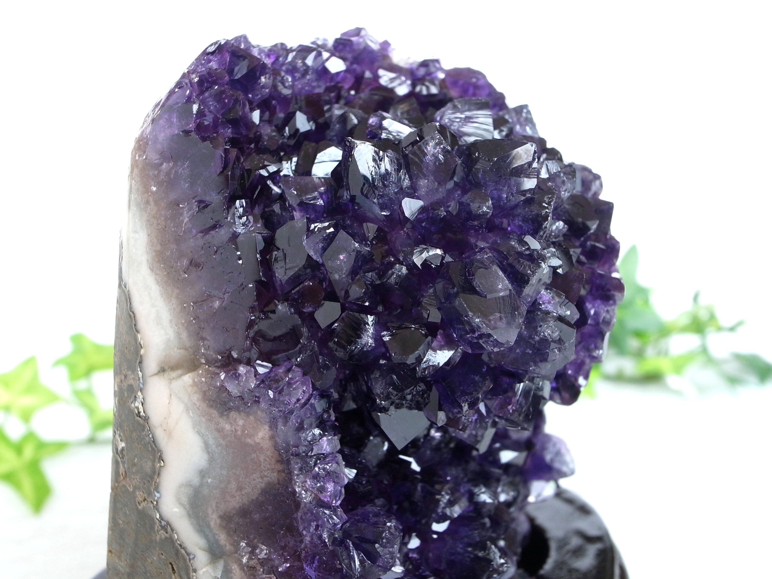 ☆半額以下☆お買い得☆　【新品店内展示品】Boyesen ボイセン　PRO REED プロリード　カーボン　PRO-13 KX125 5A濃厚ウルグアイ産 お得セットアメジスト クラスター 箱