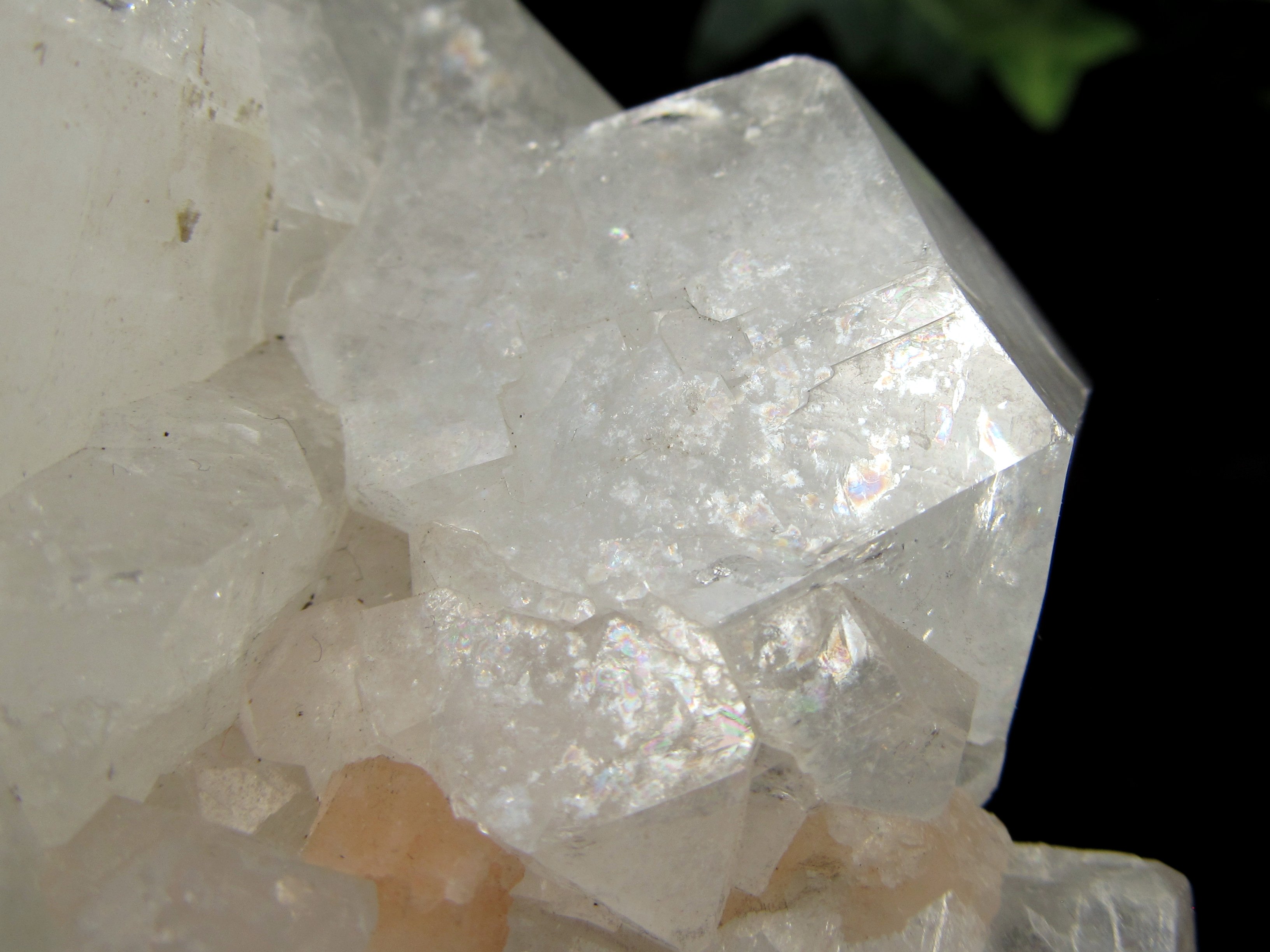 楽天市場】アポフィライト クラスター 原石 【インド・プーナ産