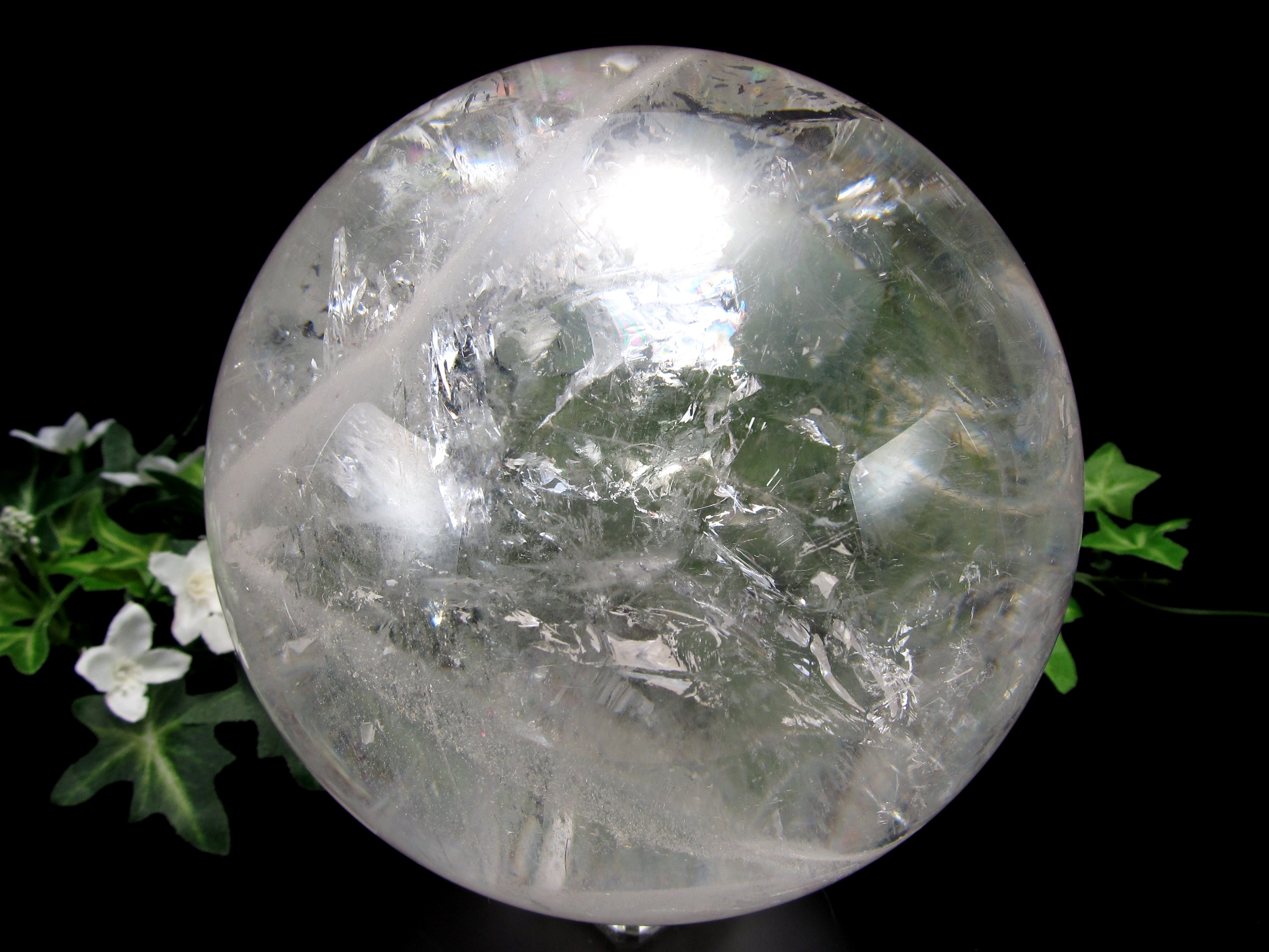 楽天市場】【店頭展示中】超透明 ほんのりスモーキー【ゴールド