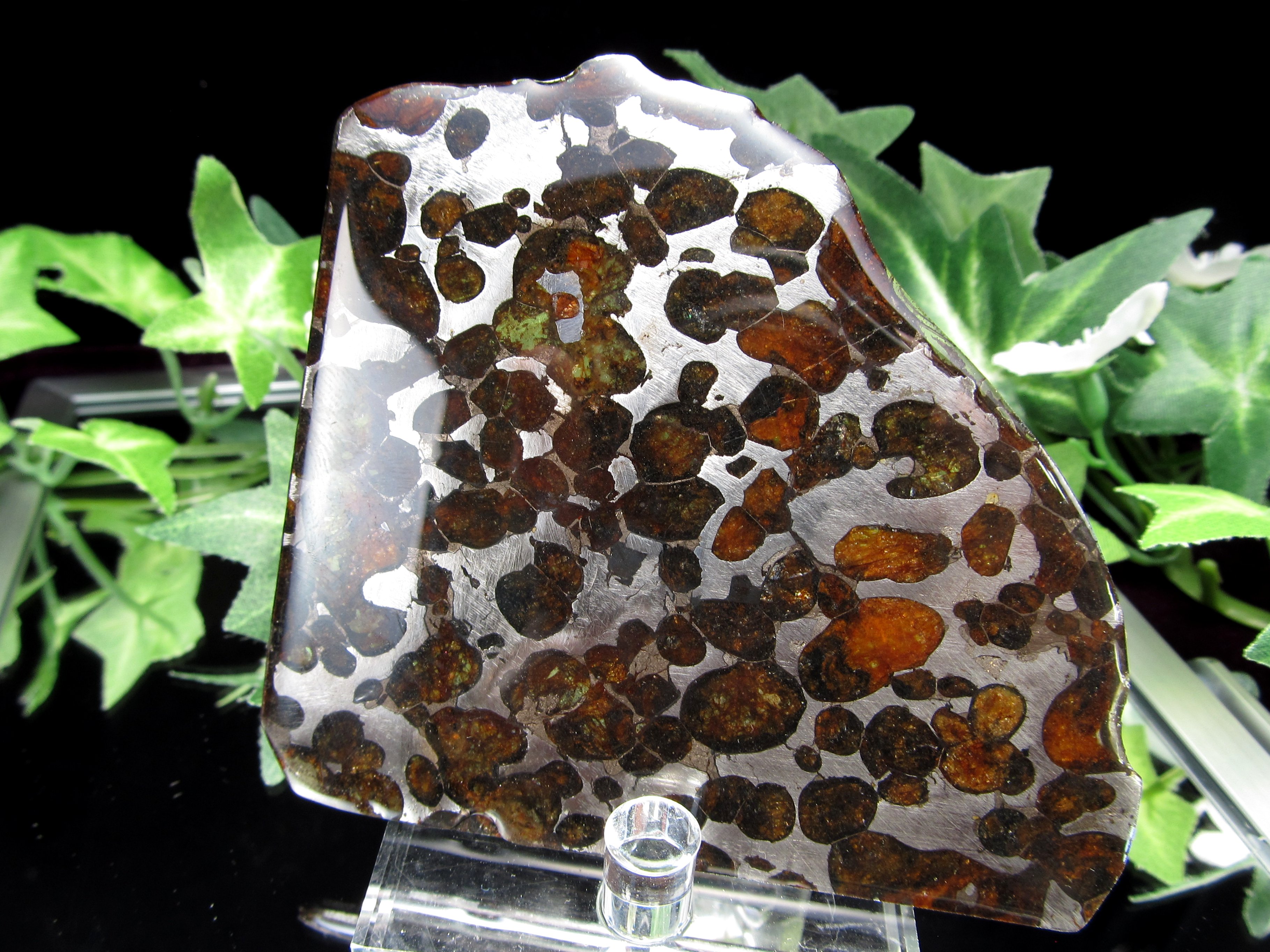 石 楽天市場】セイムチャン隕石 (SEYMCHAN) パラサイト 隕石