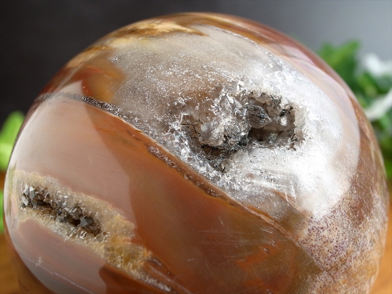 楽天市場】【希少】【数量限定】ペトリファイドウッド 珪化木 約36