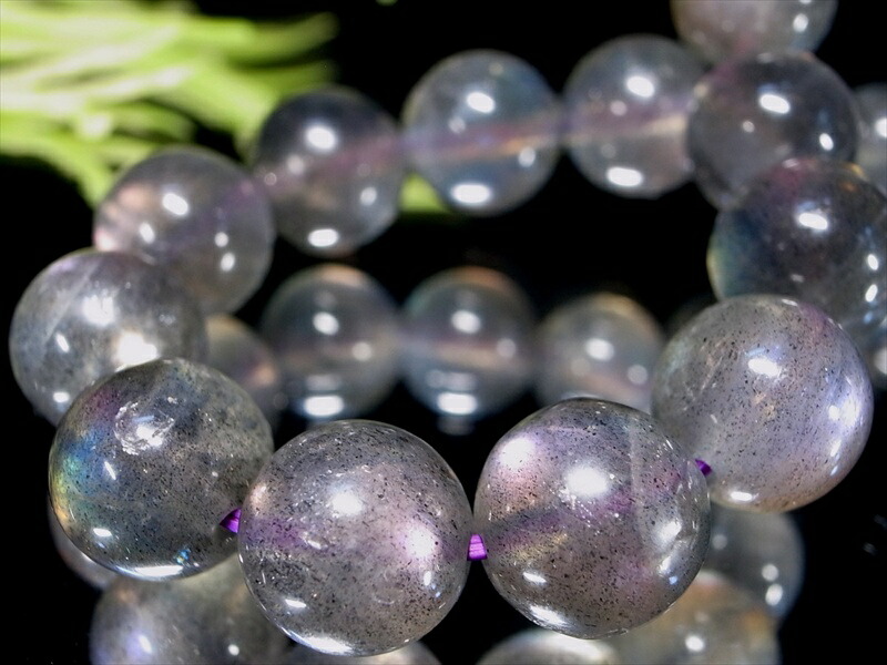 楽天市場】【店頭展示中】たっぷりプラチナルチル 4A【プラチナルチル