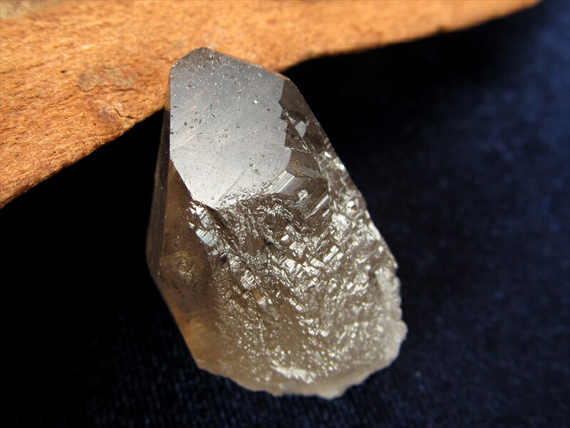 楽天市場】【店頭展示中】○濃色！産出量極少により入手困難!!【ガウリ