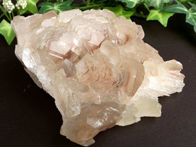 初入荷！可愛らしい茸のような結晶【カルサイト (方解石) クラスター】最大幅113mm 重さ410g 艶感抜群！極上光沢　赤みを帯びた透明結晶 繁栄・成功・希望を表す石【中国 雲南省産】 パワーストーン 天然石