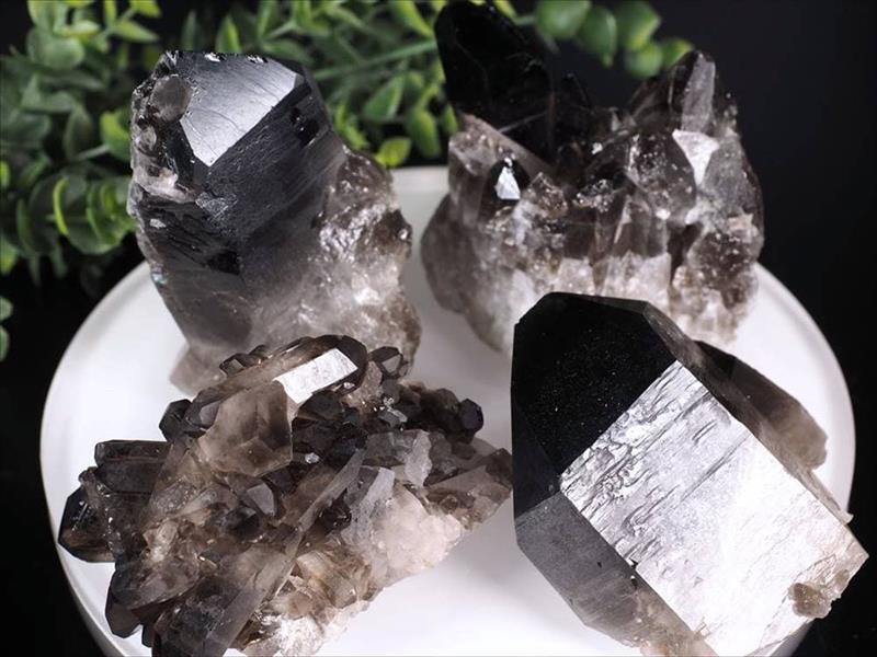 約750gあり☆チベット産 モリオン(黒水晶)クラスター 【公式通販】