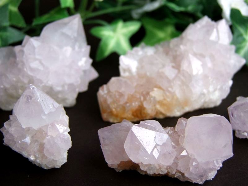 ラベンダーカラー【カクタス アメジスト クラスター原石】1個売り 重さ170g-190g 美結晶 愛の守護石 浄化やインテリアに 紫水晶 サボテンアメジスト 2月 誕生石【南アフリカ産】 パワーストーン 天然石