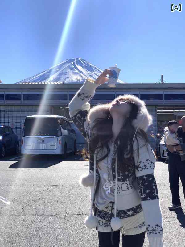 レディース 心地よい トップス Suuuicee◆ クリスマス フェアアイル レトロ ボンネット付き添い人 プルオーバー 上衣 ご機嫌酉の方角 さる股引き 編み物 書き割り