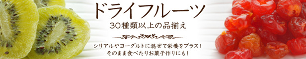 楽天市場】バナナトースト 袋入り 500g 便利なチャック付き包装 【ドライフルーツ】トーストバナナ バナナチップス : ファッジ コンシエルジェ