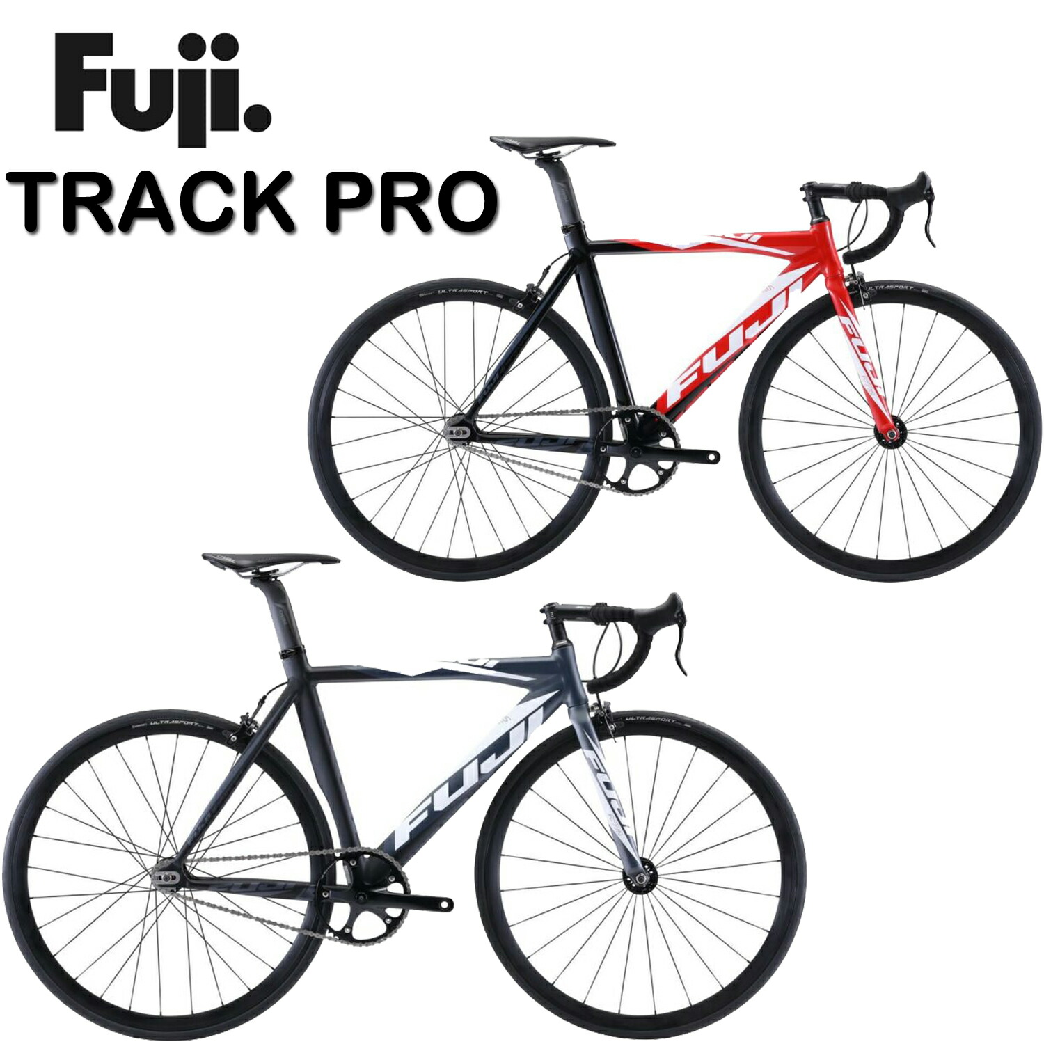 楽天市場】【メーカー在庫有り】FUJI デクラレーション 2024