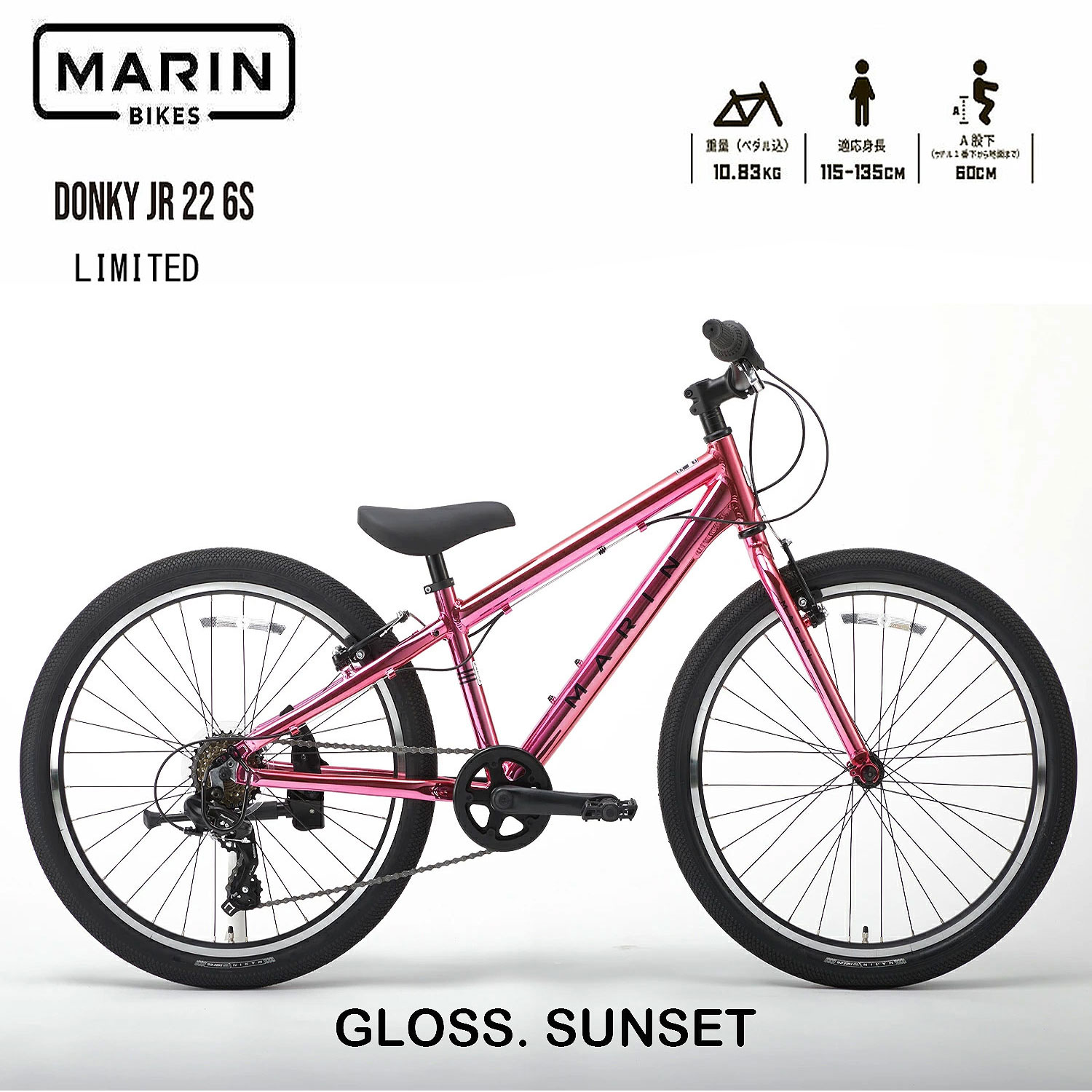 【在庫有り】マリンバイク ドンキージュニア22 リミテッド　限定カラー GLOSS SUNSET　2025年モデル MARINBIKE DONKY Jr22 LIMITED 22インチ キッズバイク 子供自転車