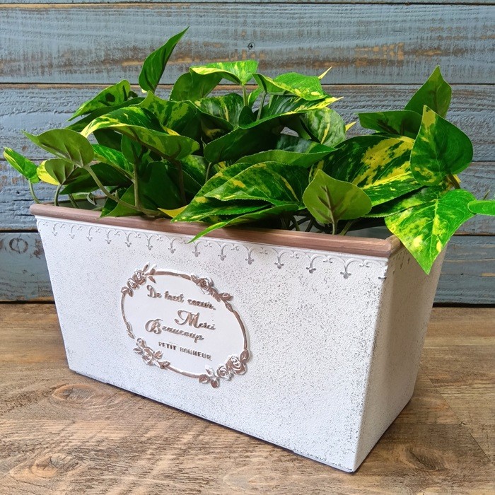 楽天市場】ガーデニング雑貨 植木鉢 プランター 陶器鉢 セメント鉢 鉢