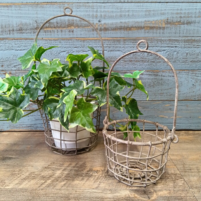 楽天市場】ガーデニング雑貨 ワイヤーバスケット アイアンバスケット