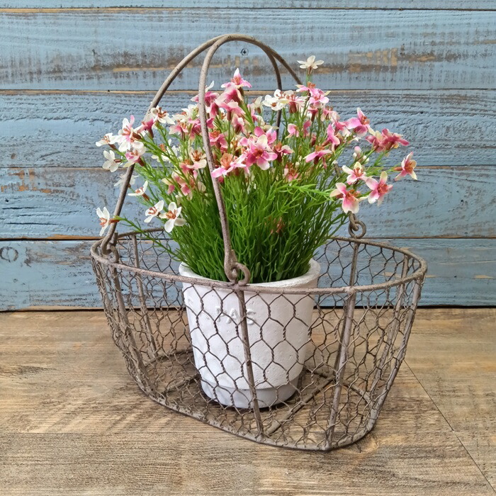 楽天市場】ガーデニング雑貨 ワイヤーバスケット アイアンバスケット