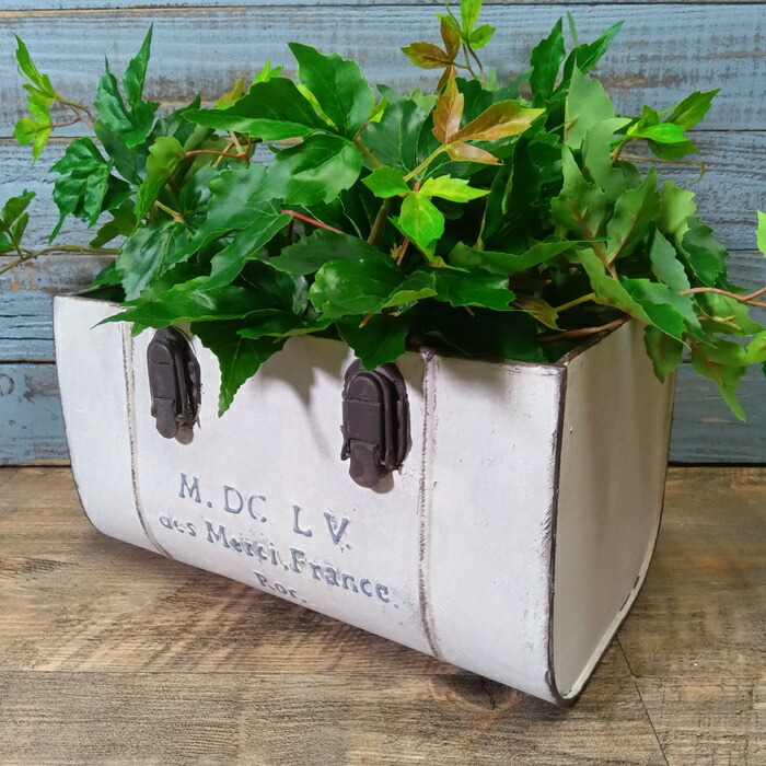 楽天市場】ローラウンド型 ブリキバケツ フロウ FLEURS 3色