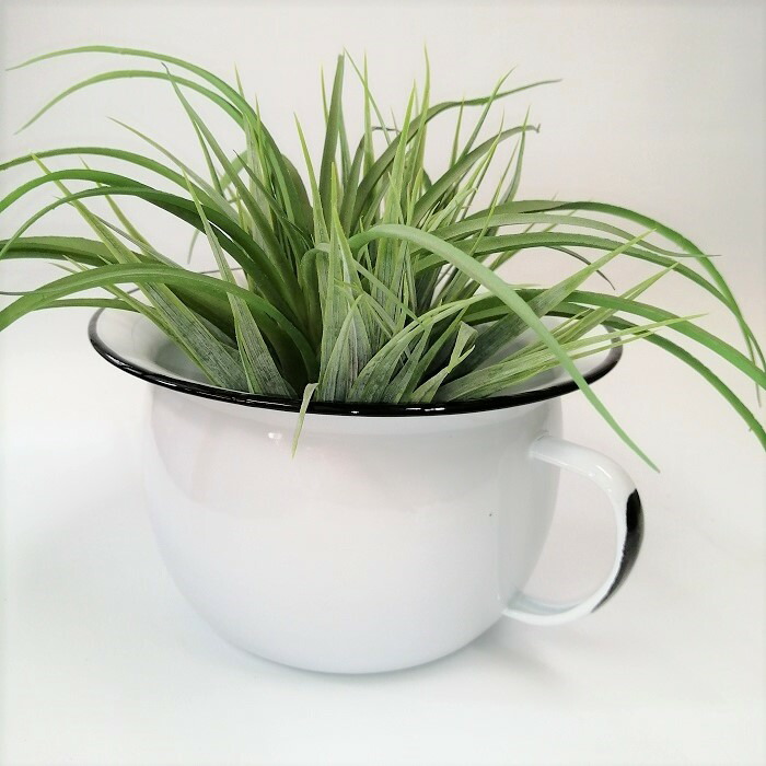 楽天市場】【ブリキポット】サークルタグポットS 穴ありアイボリー